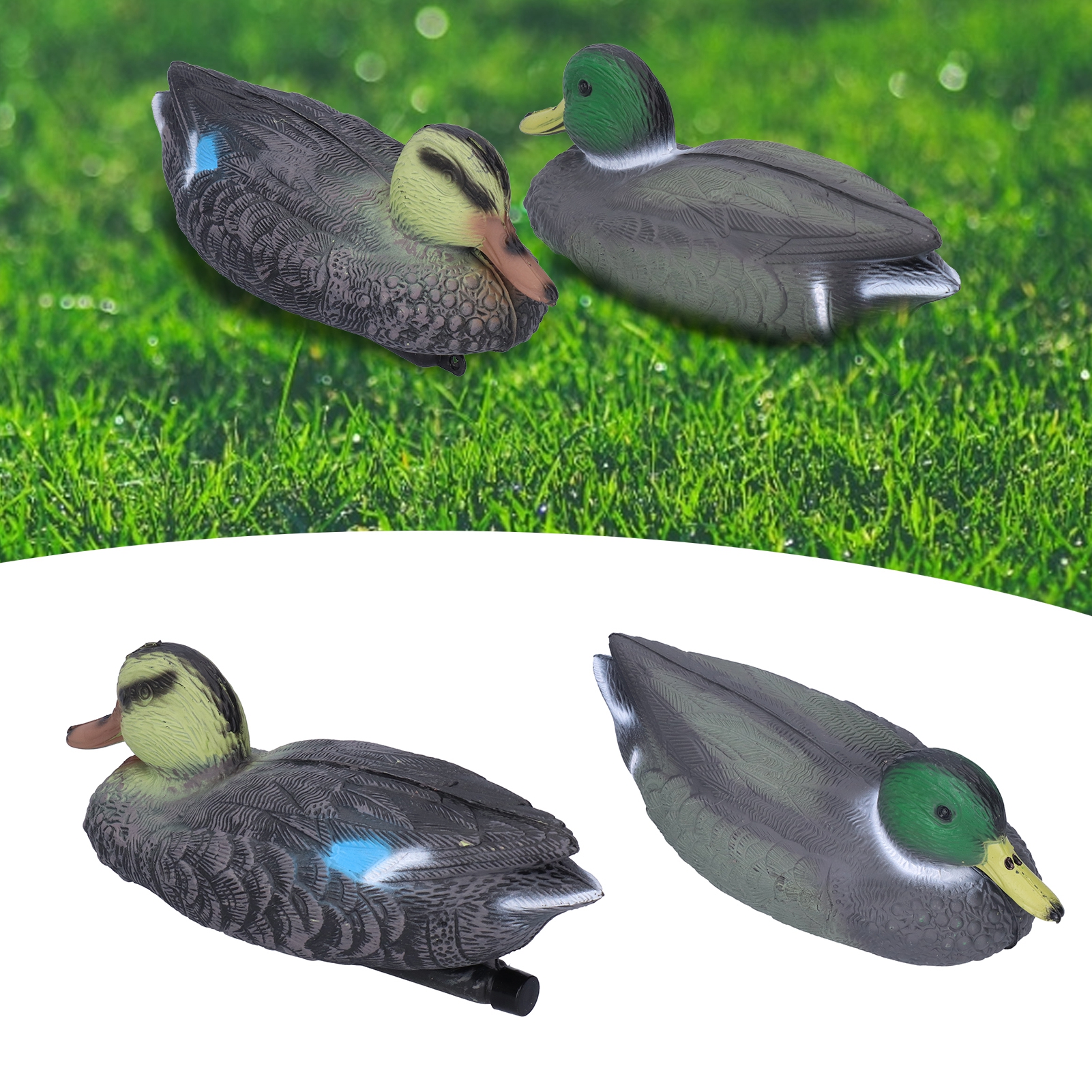 Img