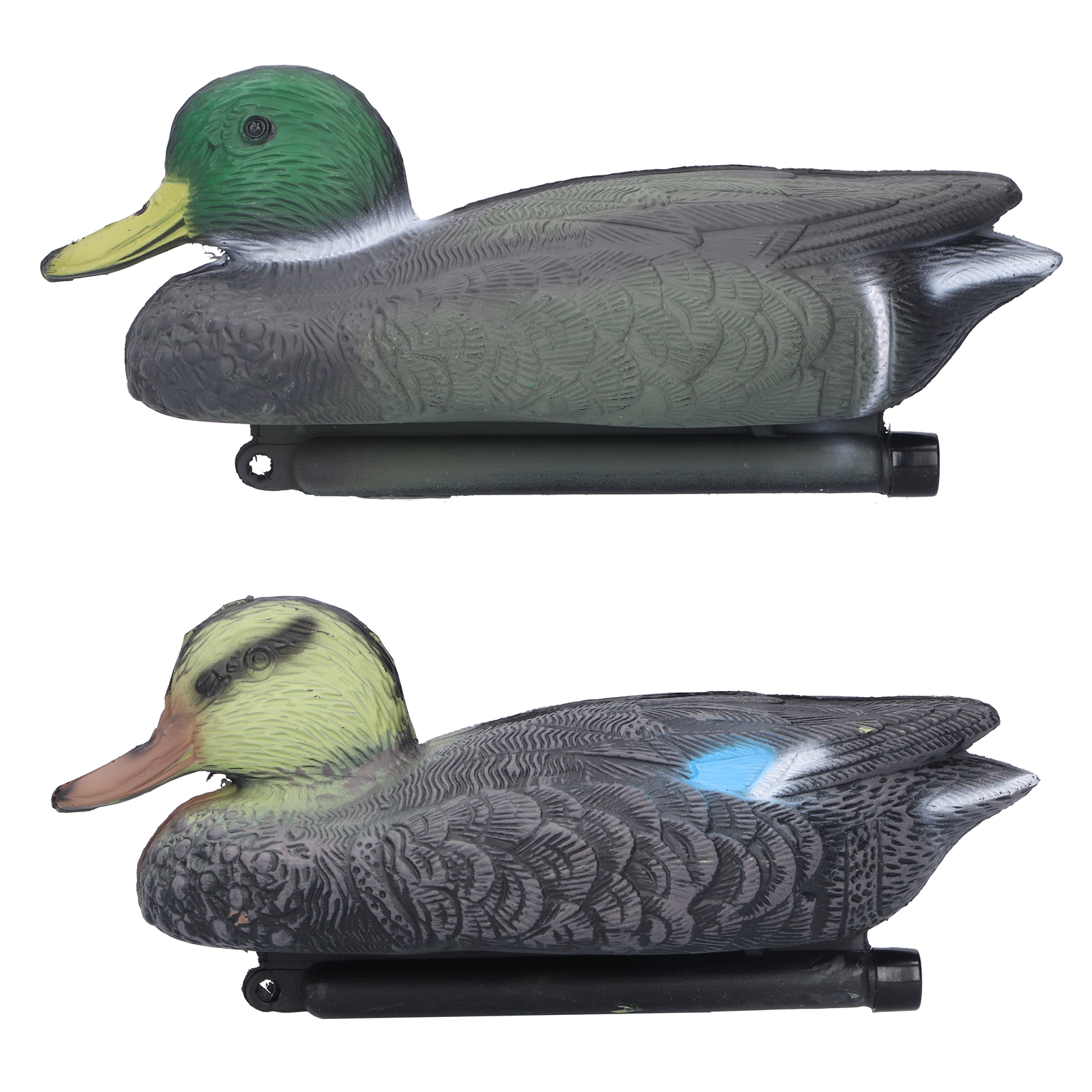 view